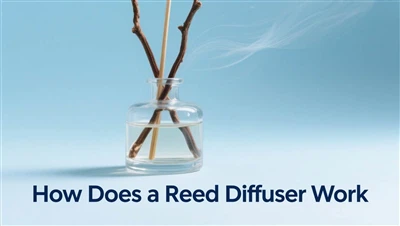 Reed diffuzeri qanday ishlaydi? Olovsiz aromaterapiya bo'yicha to'liq qo'llanma
